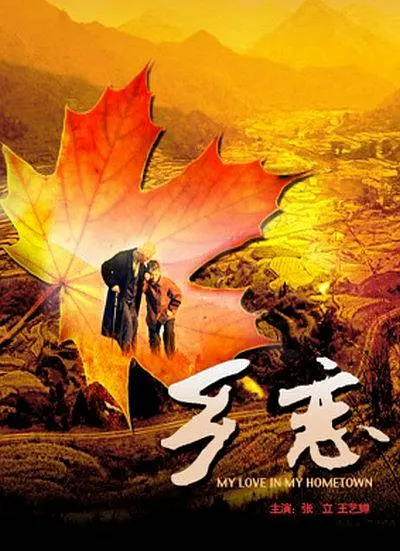 乡恋2009[电影解说]