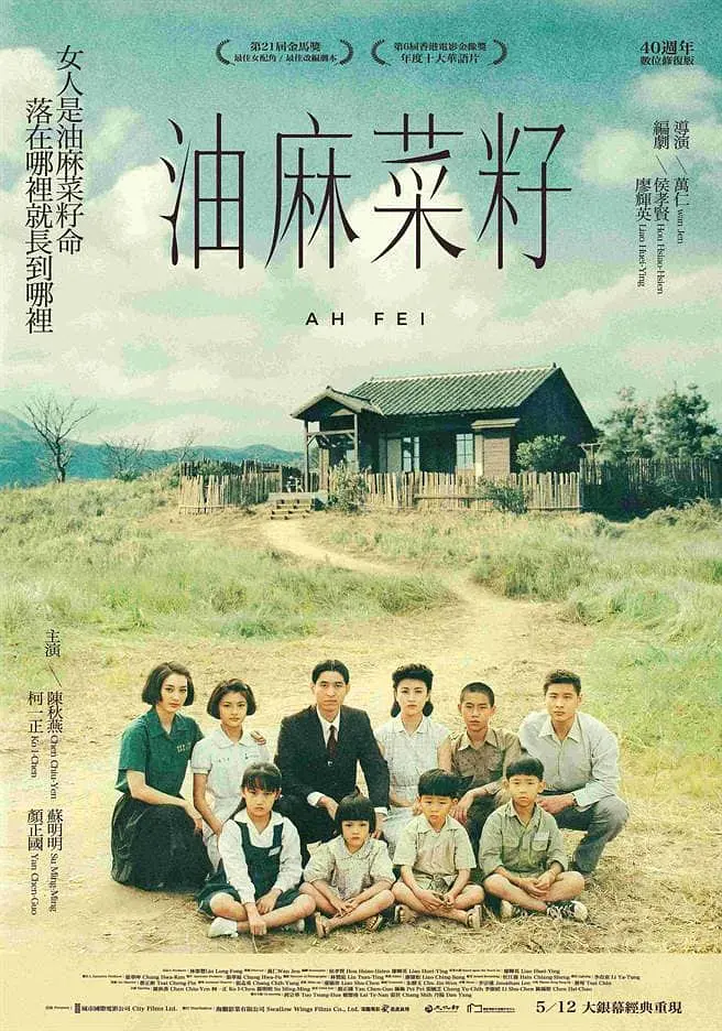 油麻菜籽[电影解说](1983(中国台湾)) - 中国台湾