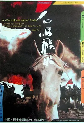 白马飞飞电影解说