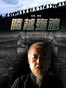 腾越殇魂电影解说