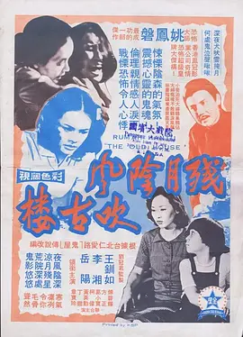 残月阴风吹古楼电影解说