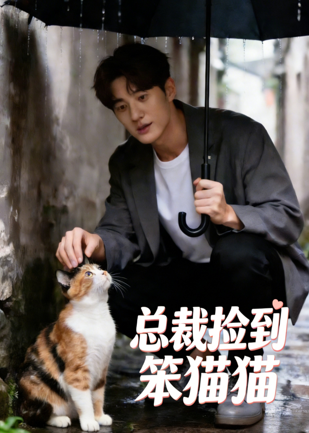 总裁捡到笨猫猫