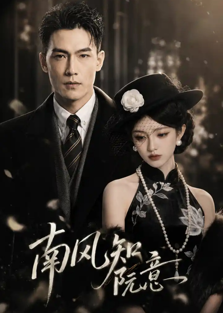 南风知阮意封面图