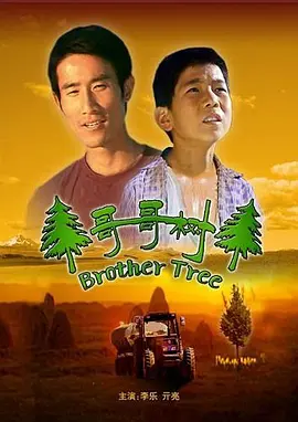 哥哥树电影解说
