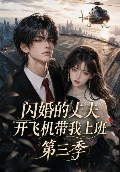 闪婚的丈夫开飞机带我上班第三季