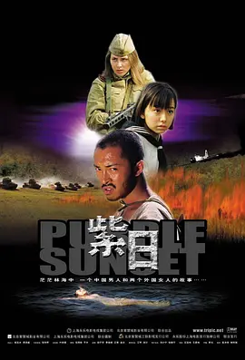 紫日电影解说