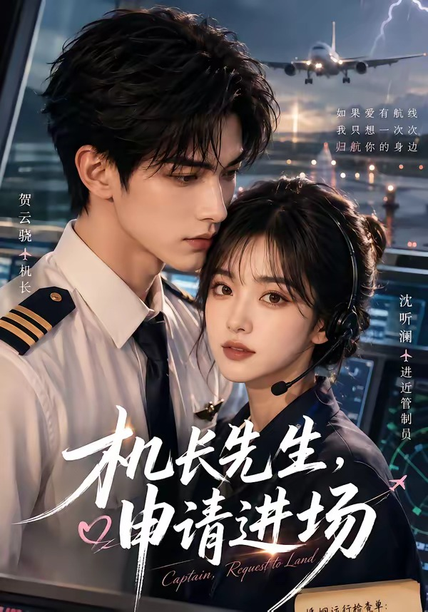 机长先生，申请进场