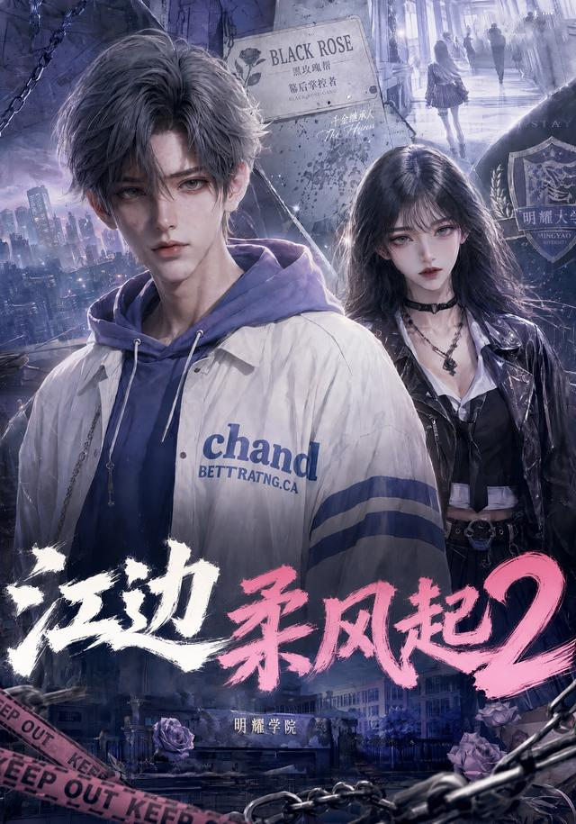 江边柔风起2封面图