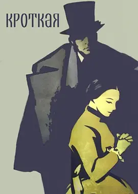 温顺的女人电影解说