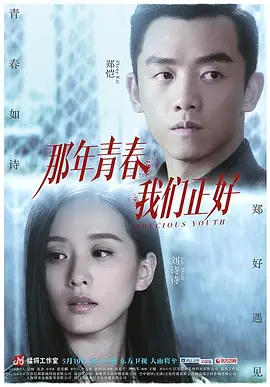 那年青春我们正好mp4下载