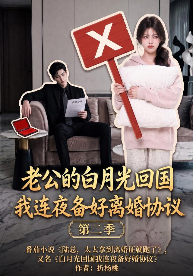 老公的白月光回国我连夜备好离婚协议第二季封面图